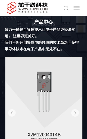 芯干线科技网站案例图片2